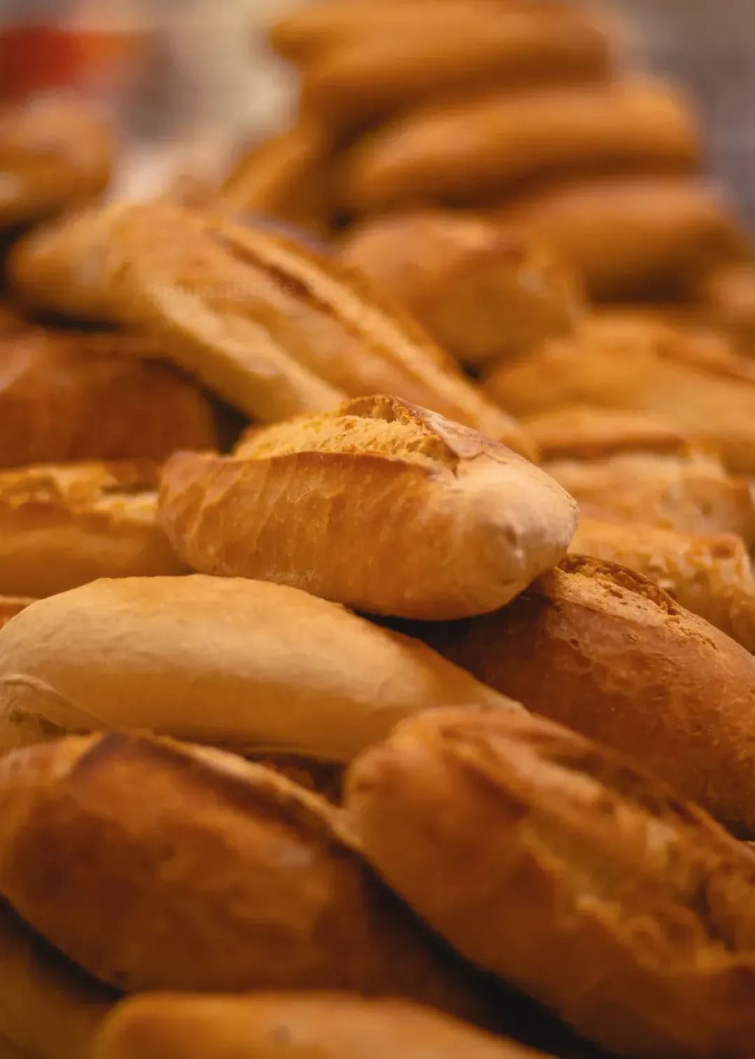Boulangerie Bo 5